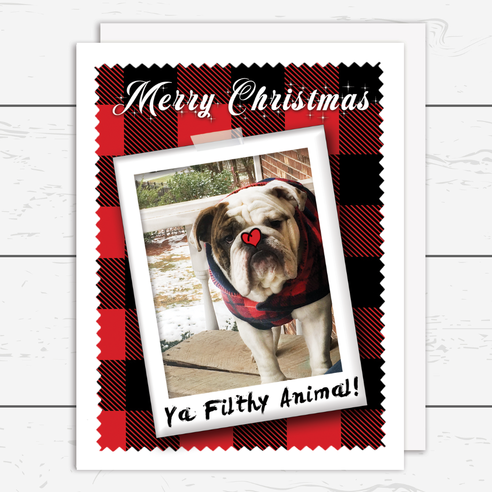 Ya Filthy Animal, Funny Christmas Holiday Card