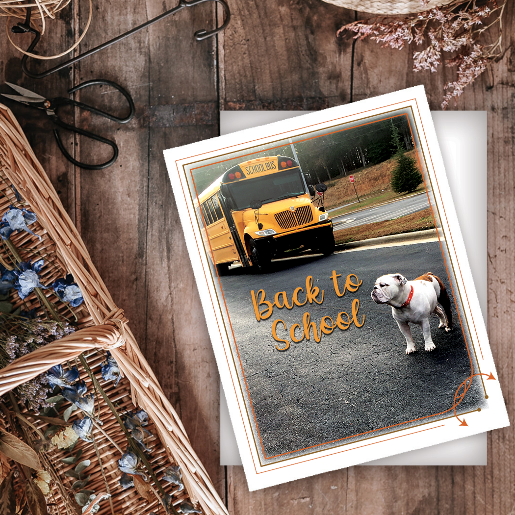 YAY-006 Back to School Card - Wholesale