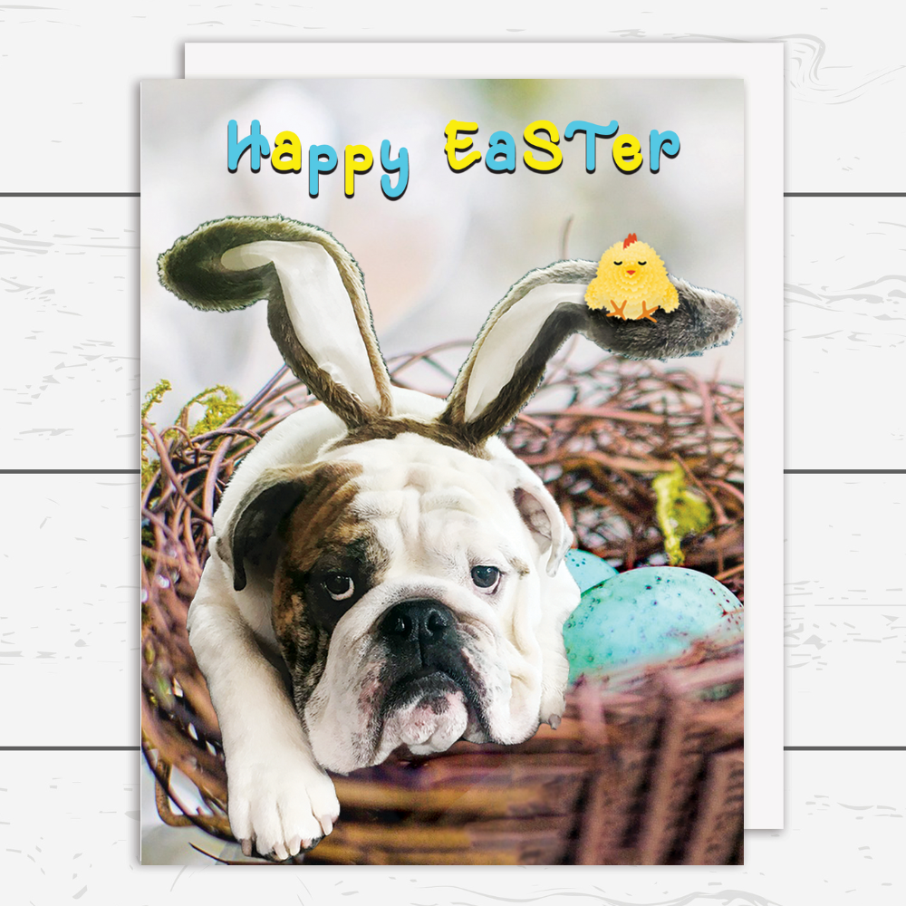 EAS-002 Easter Bulldog Bunny Card - Wholesale