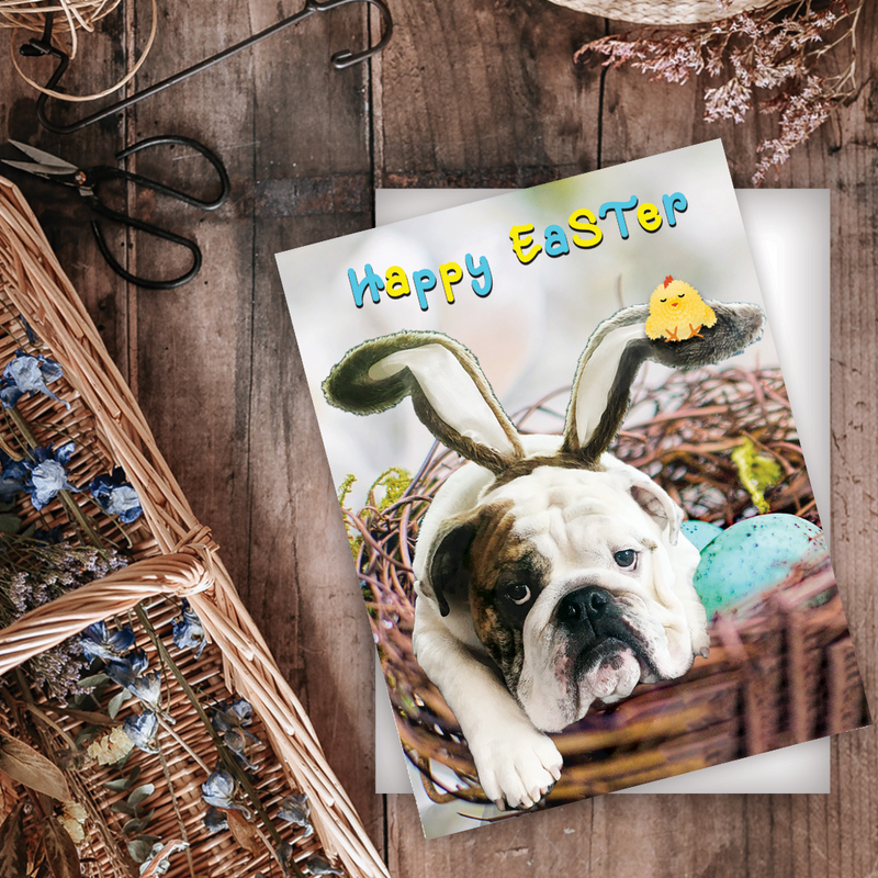 EAS-002 Easter Bulldog Bunny Card - Wholesale
