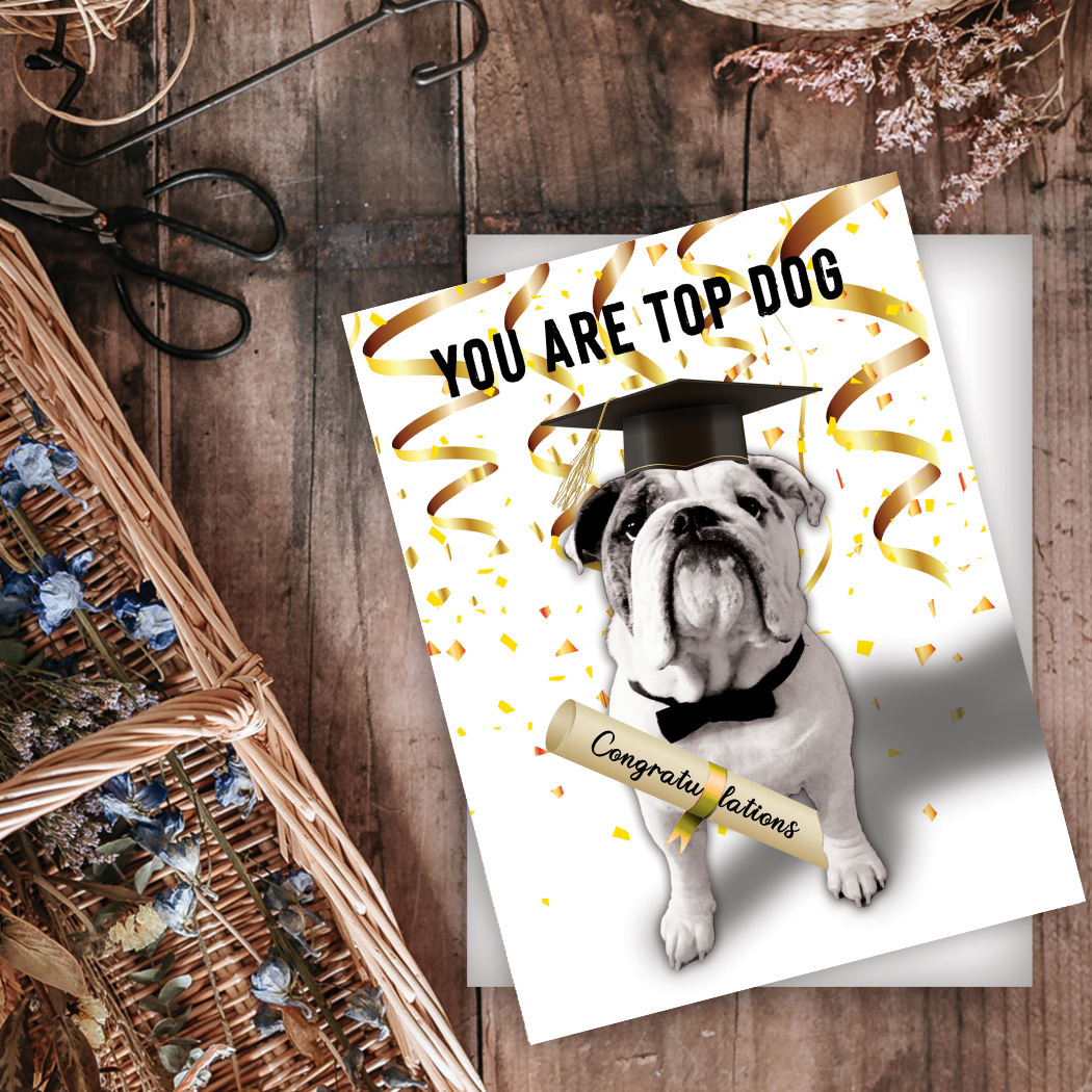 YAY-002 Top Dog Card - Wholesale